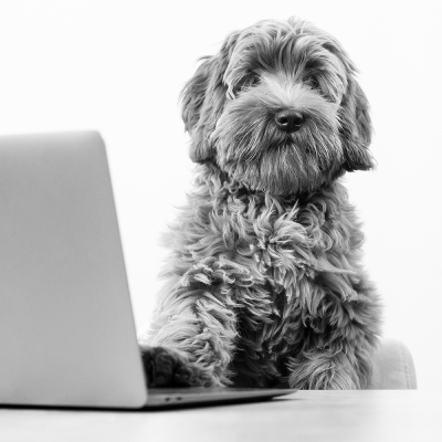 Loef, jouw contactpersoon bij Mooi Echt!
