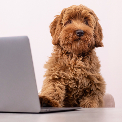 Loef, jouw contactpersoon bij Mooi Echt!
